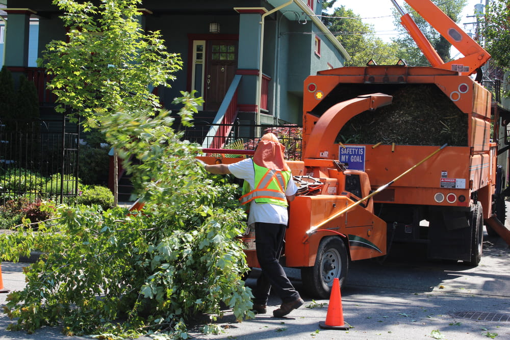 Tree Trimming Crew