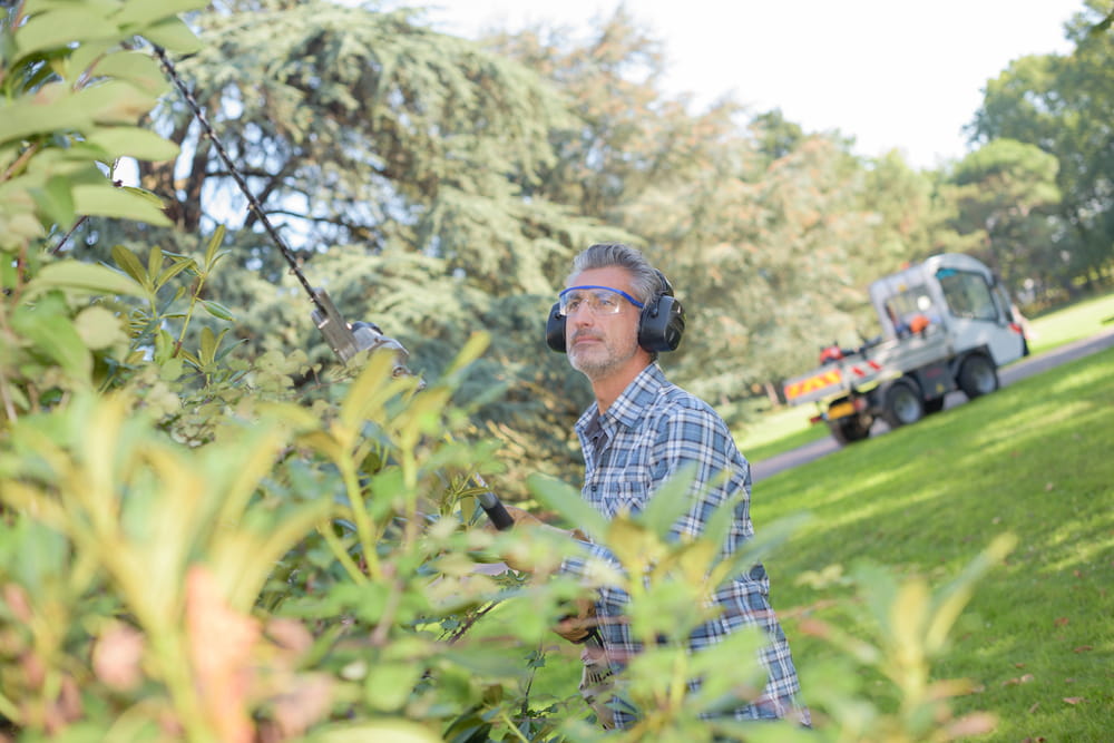 a man doing DIY tree maintenance 
